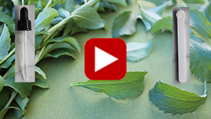 is-stevia-healthy-vid