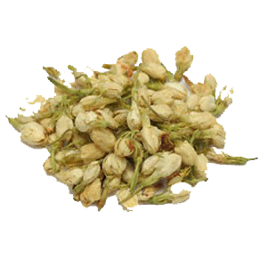 jasmine-flowers-starwest