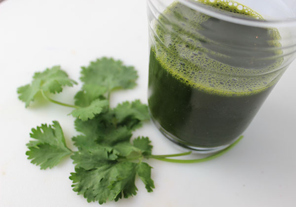 juice-cleanse-cilantro-juice juice-cleanse-cilantro-juice