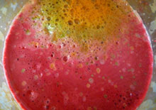 juicing-recipes-related-pages