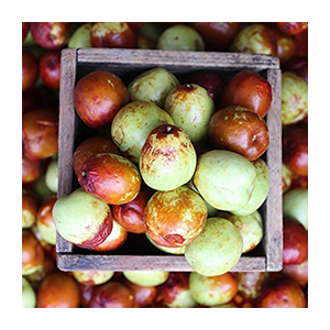 jujube-fresh-1lb