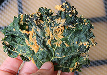 kale-chips-recipe-related-pages