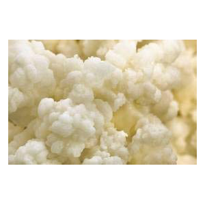 kefir-grains-mr-mrs-4oz