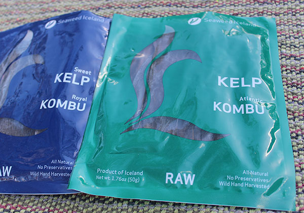 kelp-seaweed-iceland kelp-seaweed-iceland
