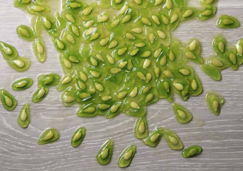 kiwano-fruit-pulp-and-seeds