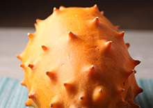 kiwano-melon-related-pages