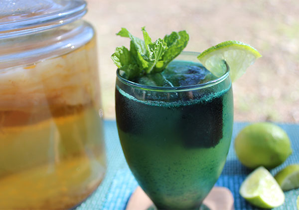 with kombucha is made mushrooms Mojito Kombucha Style Superfood Recipe, Make Mojito a How to with kombucha is made mushrooms Mojito Kombucha Style Superfood Recipe, Make Mojito a How to