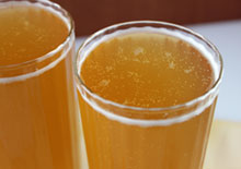 kombucha-pros-and-cons-related-pages