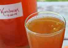 kombucha-recipe-page