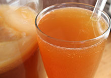 kombucha-related-pages