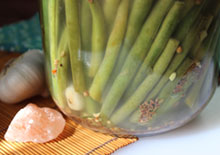 lacto-fermented-green-beans-related-pages