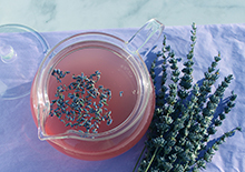 lavender-herbal-tea-related-page