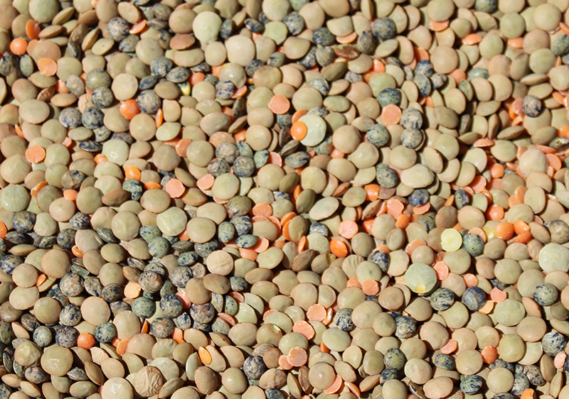 lentils-benefits lentils-benefits