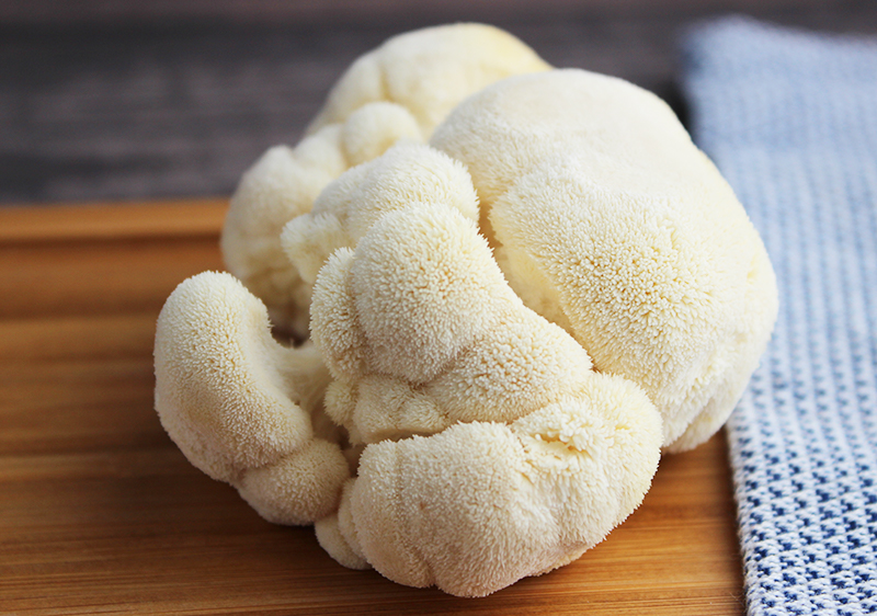 lions-mane-mushroom-fresh lions-mane-mushroom-fresh