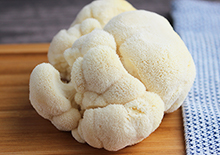 lions-mane-mushroom-page