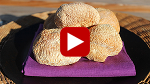lions-mane-mushroom-vid