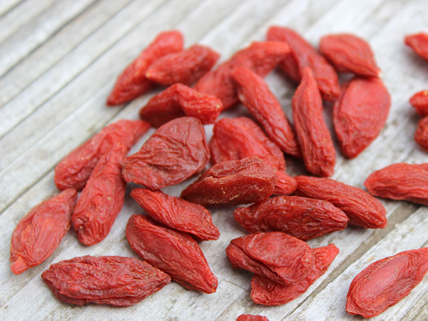 list-of-chinese-herbs-goji-lycium-fruit