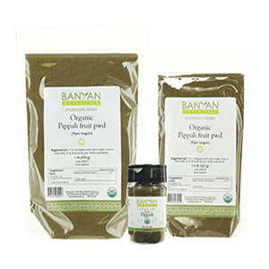 long-pepper-banyan