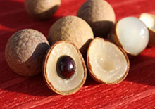 longan-fruit-related-pages