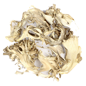 maitake-pieces-dried-mrh