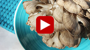maitake-vid