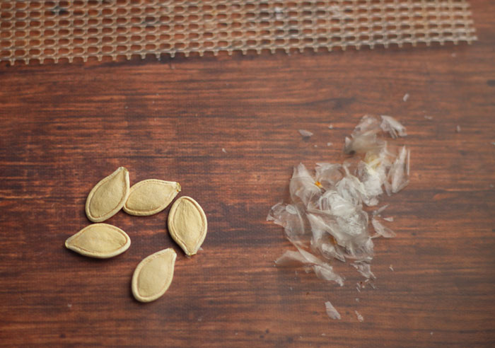 Making Pumpkin Seeds In Dehydrator