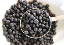 maqui-berry-related-pages