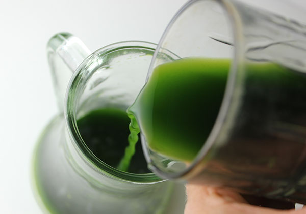 marine phytoplankton benefits a