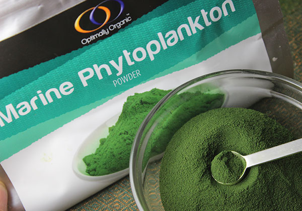 marine phytoplankton benefits a