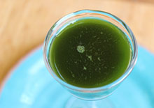 marine-phytoplankton-related-pages