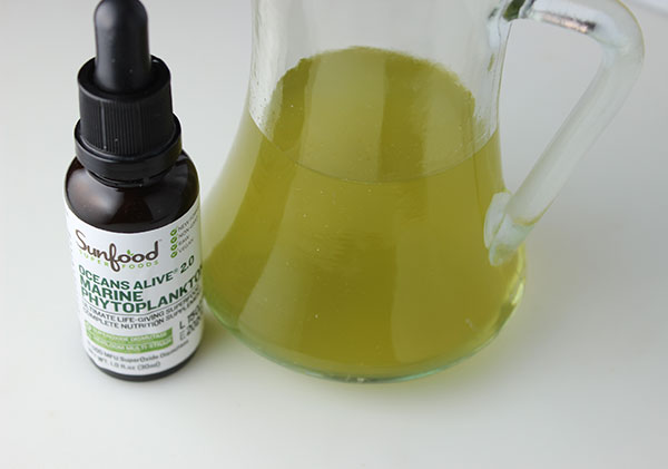 marine-phytoplankton-sunfood