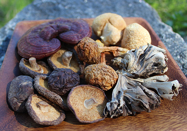 Asian mushrooms for health picture 115