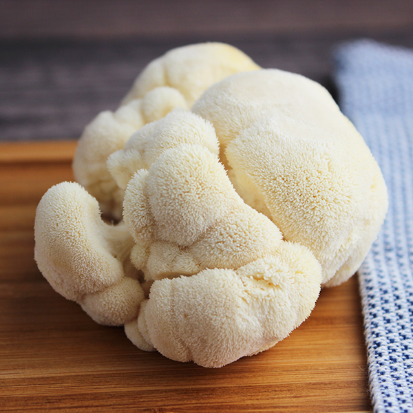 medicinal-mushrooms-lions-mane-mushroom-dried