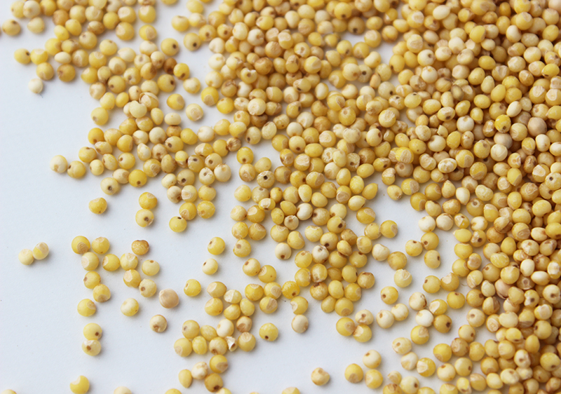 What is Millet and What Is It Good For?