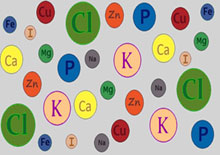minerals-related-pages