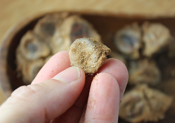 monk-fruit-sweetener-luo-han-guo-fruit-piece