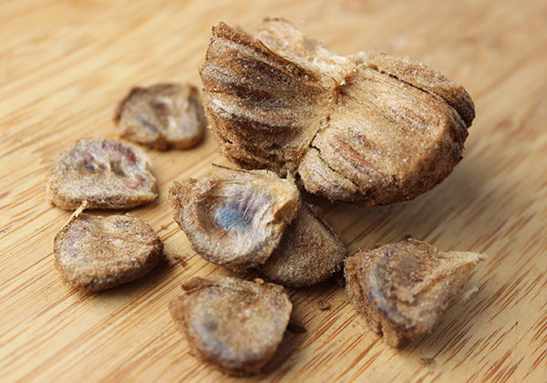 monk-fruit-sweetener-luo-han-guo