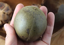 monk-fruit-sweetener-related-pages