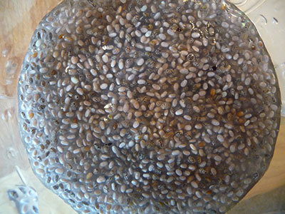 more-top-superfoods-chia-seeds more-top-superfoods-chia-seeds