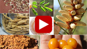 more-top-superfoods-vid