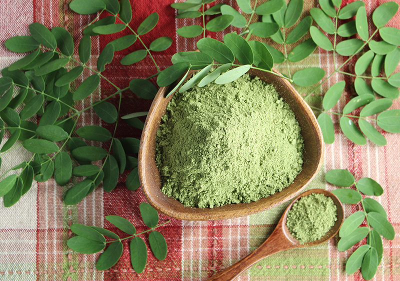 moring-leaf-powder