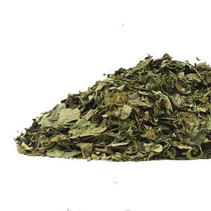 moringa-leaf-mountain-rose