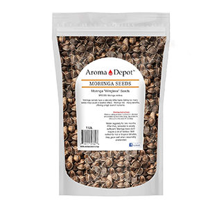 moringa-seeds-wingless