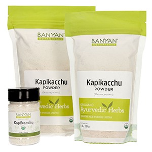 mucuna-kapikacchu-banyan-botanicals