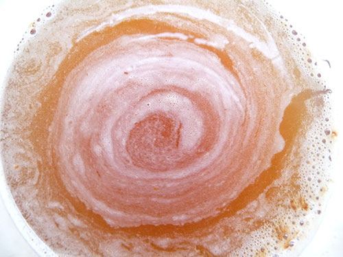 mucuna-pruriens-benefits-creates-spiral mucuna-pruriens-benefits-creates-spiral