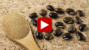 mucuna-vid
