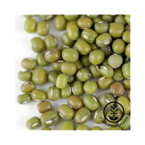 mung-bean-seeds-wheatgrass-kits