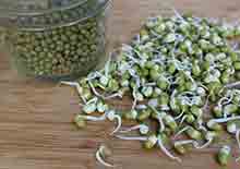 mung-bean-sprouts-page-2