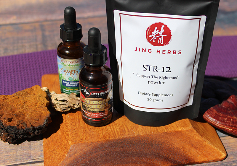 mushroom-supplement-formulas-powder-liquid