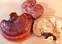 natural-sleep-aids-related-pages